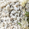 Polar White 20mm
