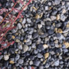 Ocean Blue Pebble 10mm