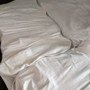 Kiln Dried Hardwood Logs – Boot Bags - Image 3